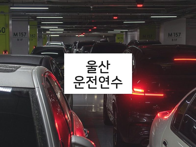 울산운전연수 후기