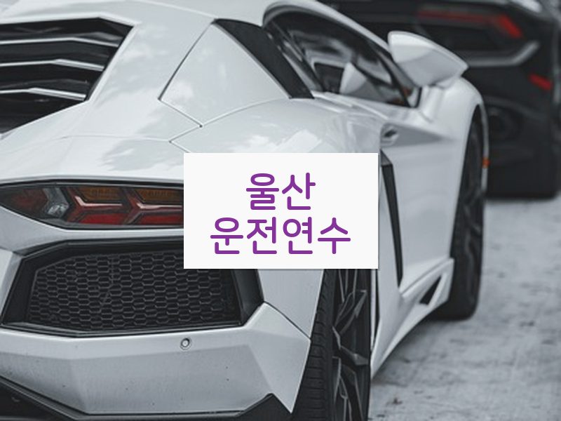 울산운전연수 후기