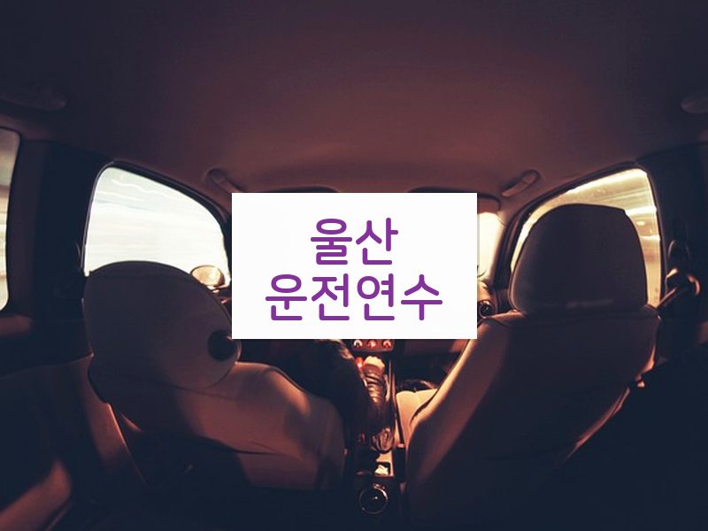 울산운전연수 후기