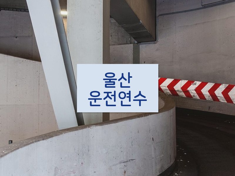 울산운전연수 후기