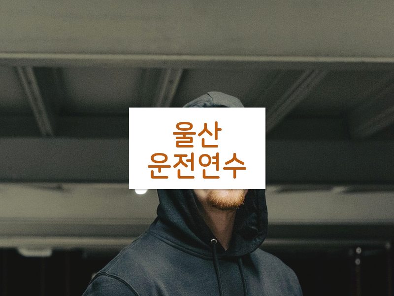 울산운전연수 후기