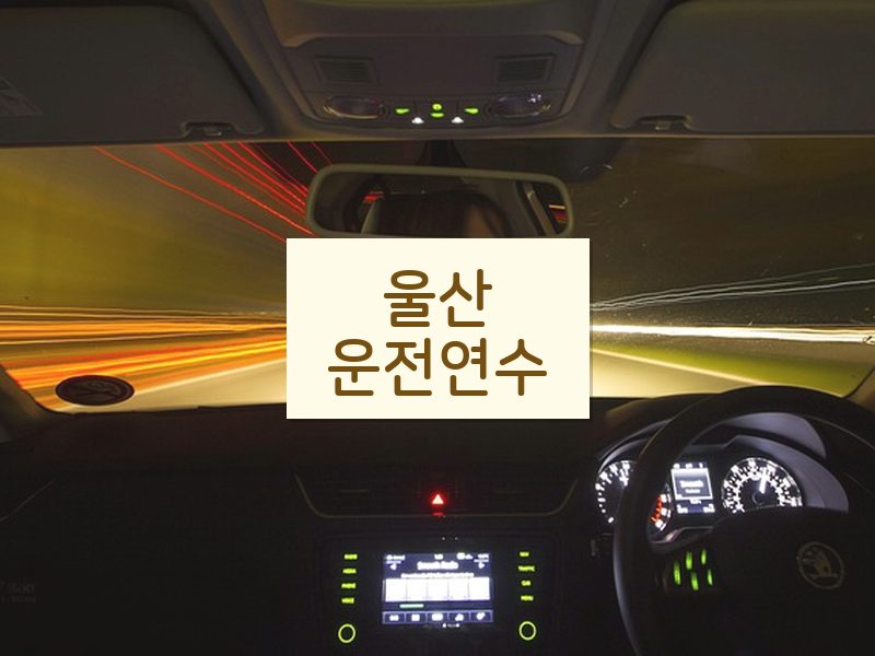 울산운전연수 후기