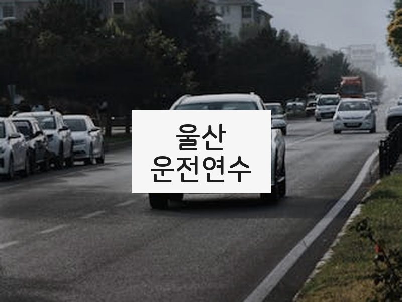 울산운전연수 후기