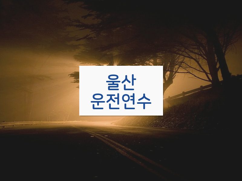 울산운전연수 후기