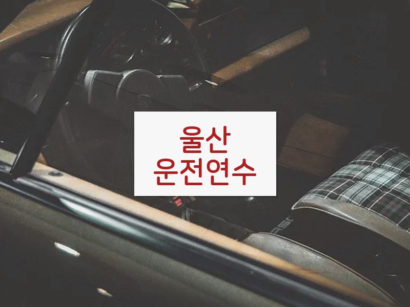 울산운전연수 후기