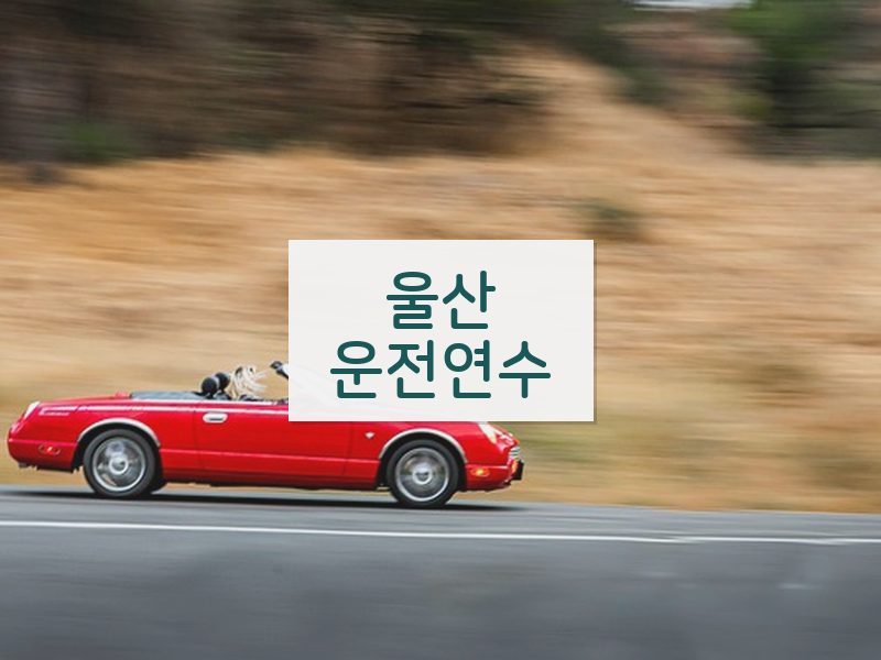 울산운전연수 후기