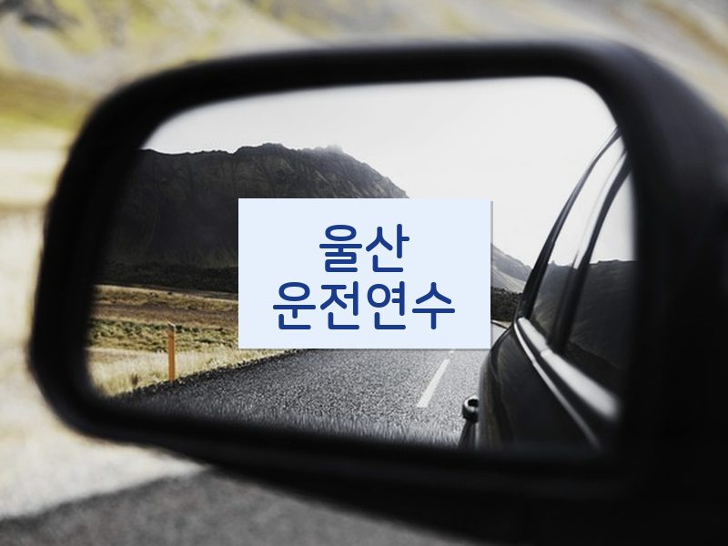 울산운전연수 후기