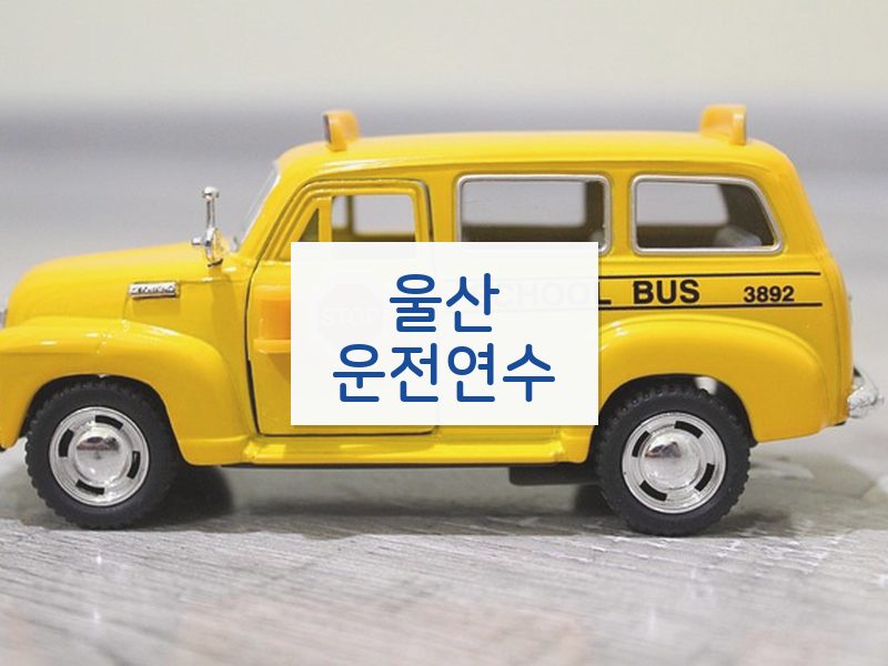 울산운전연수 후기