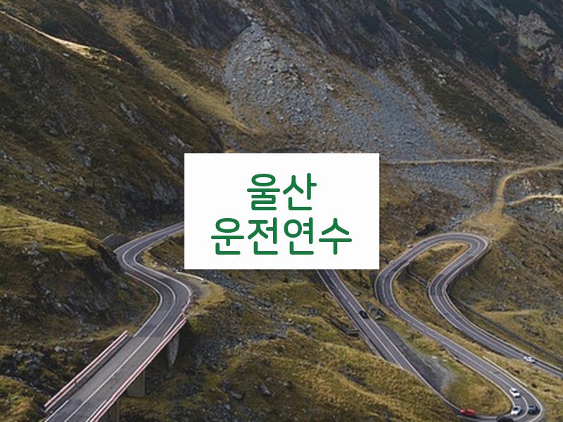 울산운전연수 후기