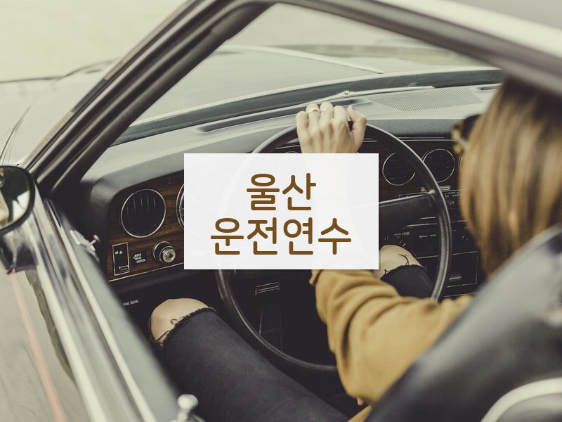 울산운전연수 후기