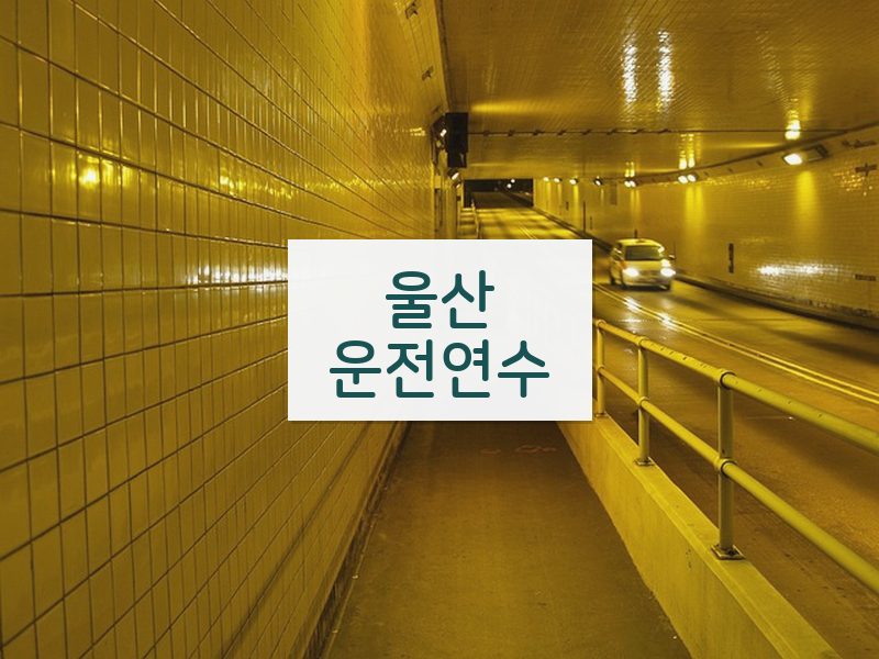 울산운전연수 후기