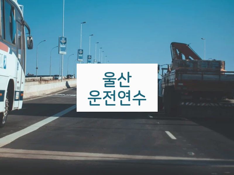 울산운전연수 후기
