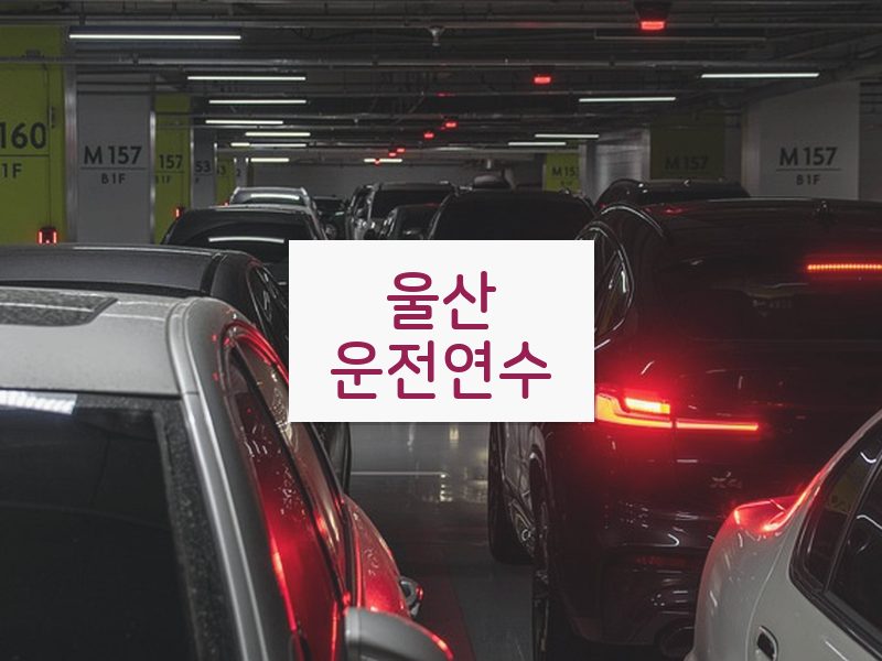 울산운전연수 후기