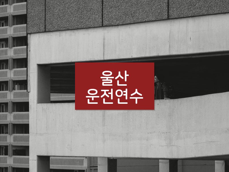 울산운전연수 후기