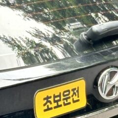 골목길 운전 때문에 연수 받았어요