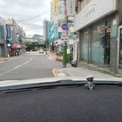 일산 초보운전연수 추천 후기 비용 가격 정리: 엄마의 운전 독립!