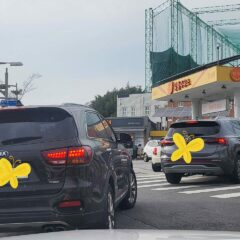 [고양] 초보운전연수 4일 코스 가격 솔직 후기