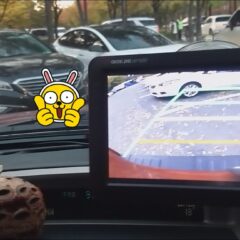 [서울] 초보운전연수 3일 코스 가격 솔직 후기